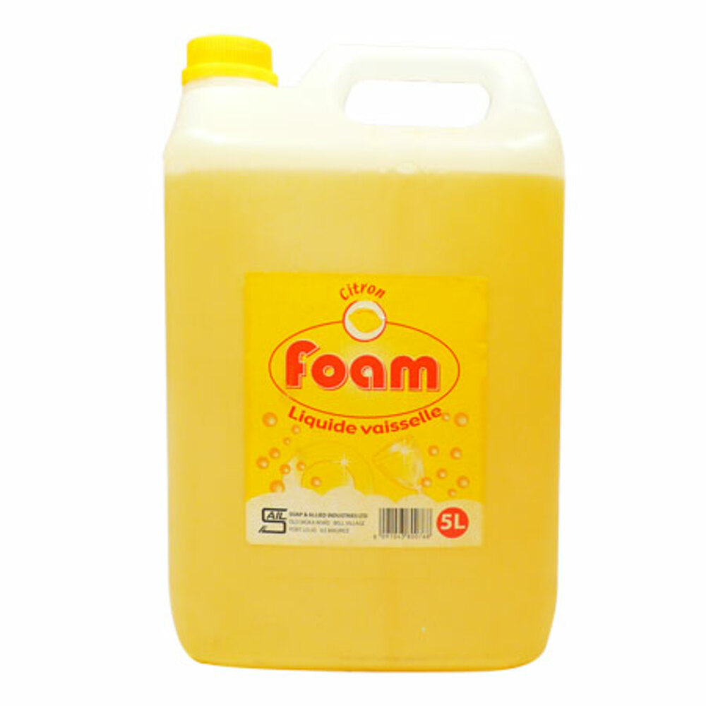 dish cleaner foam ref s25 5l  foam